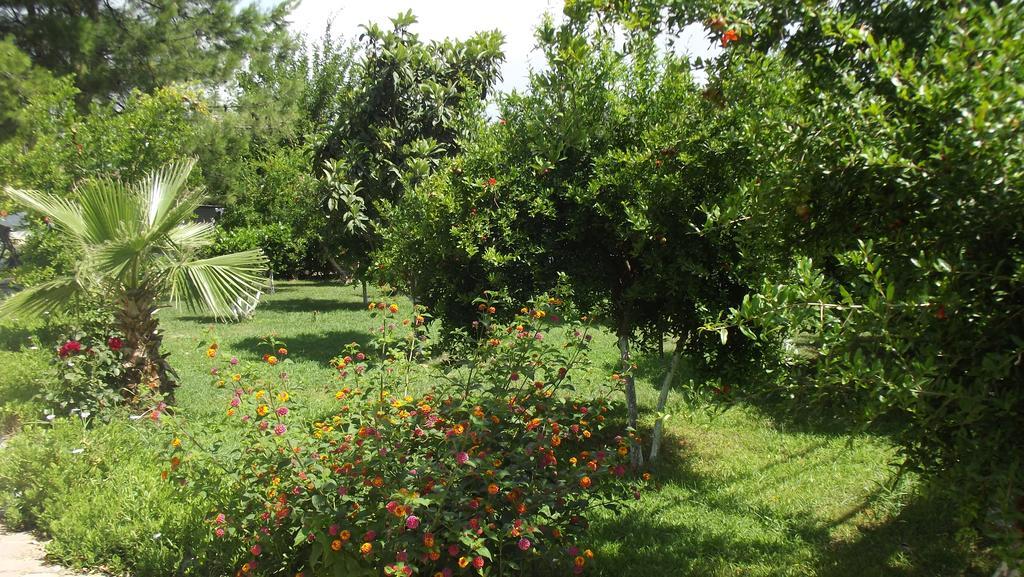 Gurkan Apart Hotel Далян Екстериор снимка